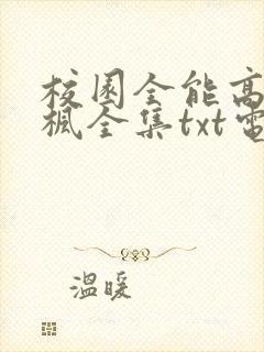 校园全能高手季枫全集txt电子书