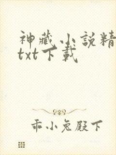 神藏小说精校版txt下载封面