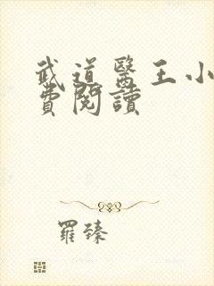武道医王小说免费阅读