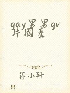 gay男男gv片国产