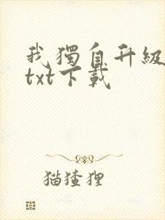 我独自升级原著txt下载封面