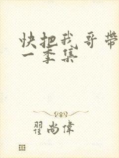 快把我哥带走第一季集