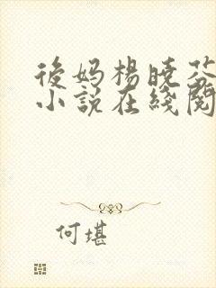 后妈杨晓芬王磊小说在线阅读