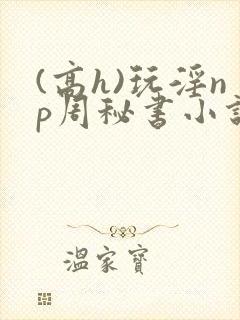 (高h)玩淫np周秘书小说封面