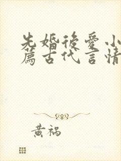 先婚后爱小说推荐古代言情封面