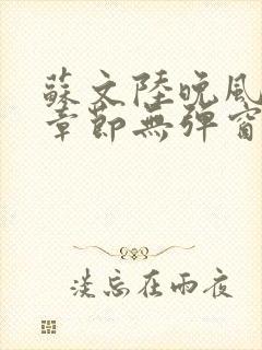 苏文陆晚风最新章节无弹窗笔趣阁
