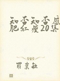 知否知否应是绿肥红瘦20集封面