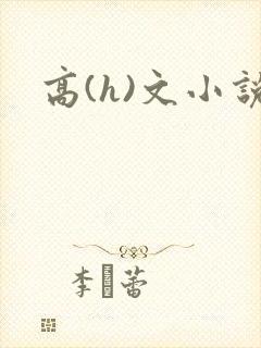高(h)文小说