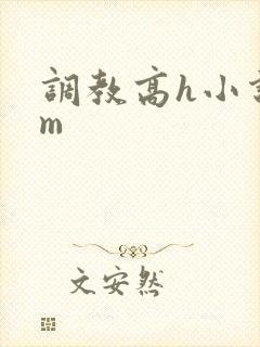 调教高h小说sm
