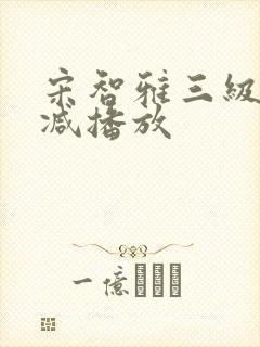 宋智雅三级无删减播放封面