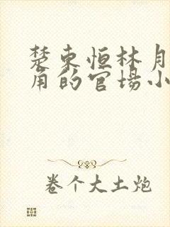 楚东恒林月为主角的官场小说名字