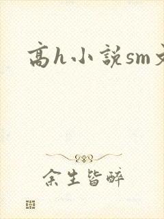 高h小说sm文封面