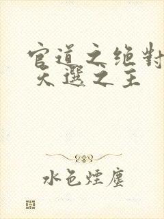 官道之绝对权力 天选之主