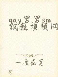 gay男男sm调教视频网站
