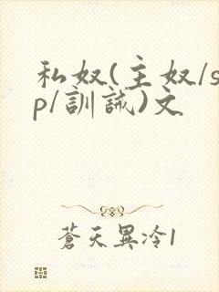 私奴(主奴/sp/训诫)文