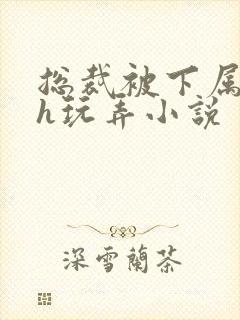 总裁被下属调教h玩弄小说