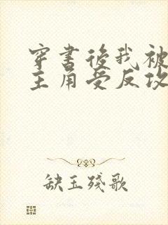 穿书后我被美人主角受反攻了