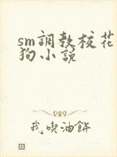 sm调教校花母狗小说封面