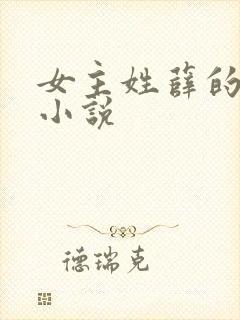 女主姓薛的现代小说封面