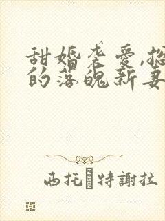 甜婚袭爱,总裁的落魄新妻