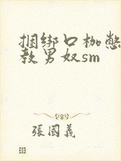 捆绑口枷憋尿调教男奴sm