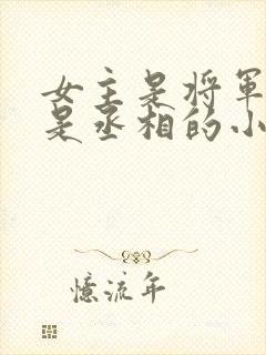 女主是将军男主是丞相的小说