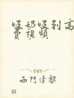 吸奶吸到高潮免费视频