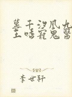 慕千汐凰九夜邪王嗜宠鬼医狂妃