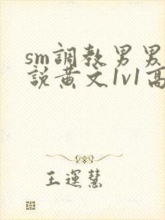 sm调教男男小说黄文1v1高h强制