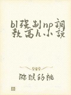 bl强制np调教高h小说