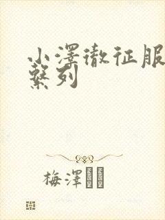 小泽彻征服人妻系列封面