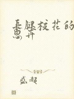 长腿校花的呻吟思卉