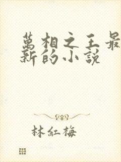 万相之王最快更新的小说