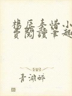 杨辰秦惜小说免费阅读笔趣阁全文
