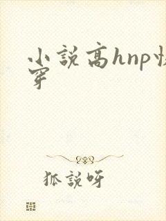 小说高hnp快穿