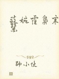 苏婉霍枭寒苏晓慧