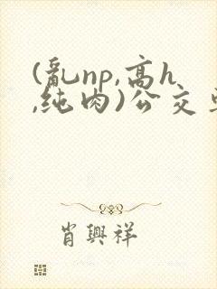 (乱np,高h,纯肉)公交车群p