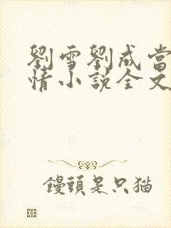 刘雪刘成当代爱情小说全文免费 笔趣