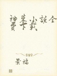 神墓小说全本免费下载
