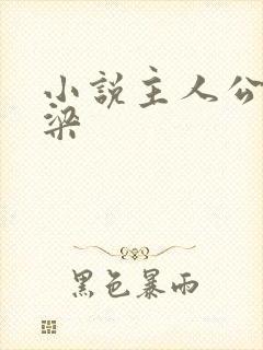 小说主人公叫乔梁封面