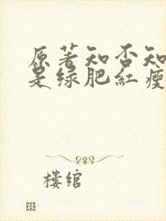 原著知否知否应是绿肥红瘦小说