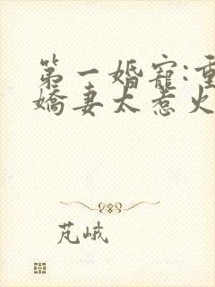 书籍封面