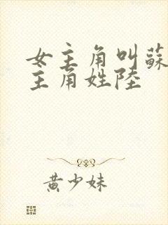 女主角叫苏念男主角姓陆