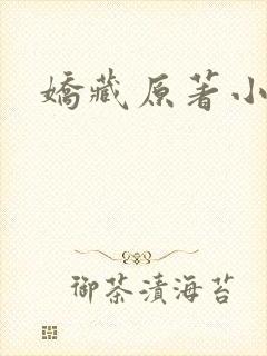 娇藏原著小说封面
