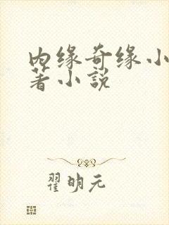 内缘奇缘小说原著小说