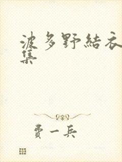 波多野结衣作品集封面
