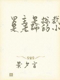 男主是总裁女主是老师的小说