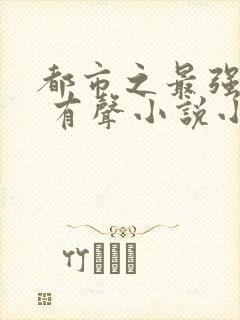 都市之最强仙医 有声小说小说