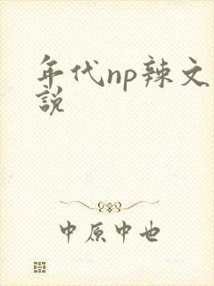 年代np辣文小说
