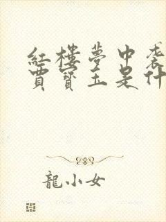 红楼梦中袭人和贾宝玉是什么关系